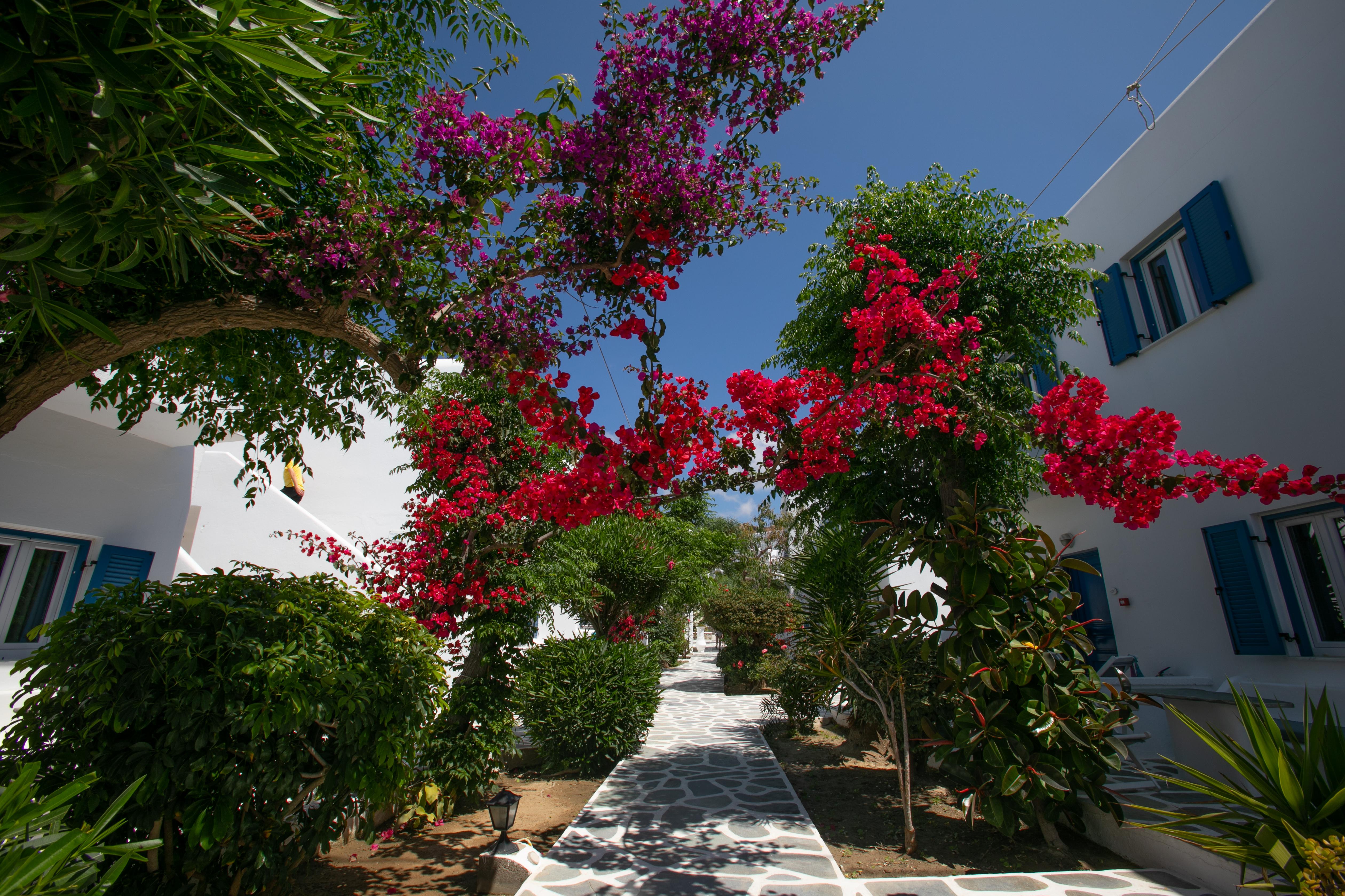 Acrogiali Beachfront Hotel Mykonos Platys Gialos  Ngoại thất bức ảnh
