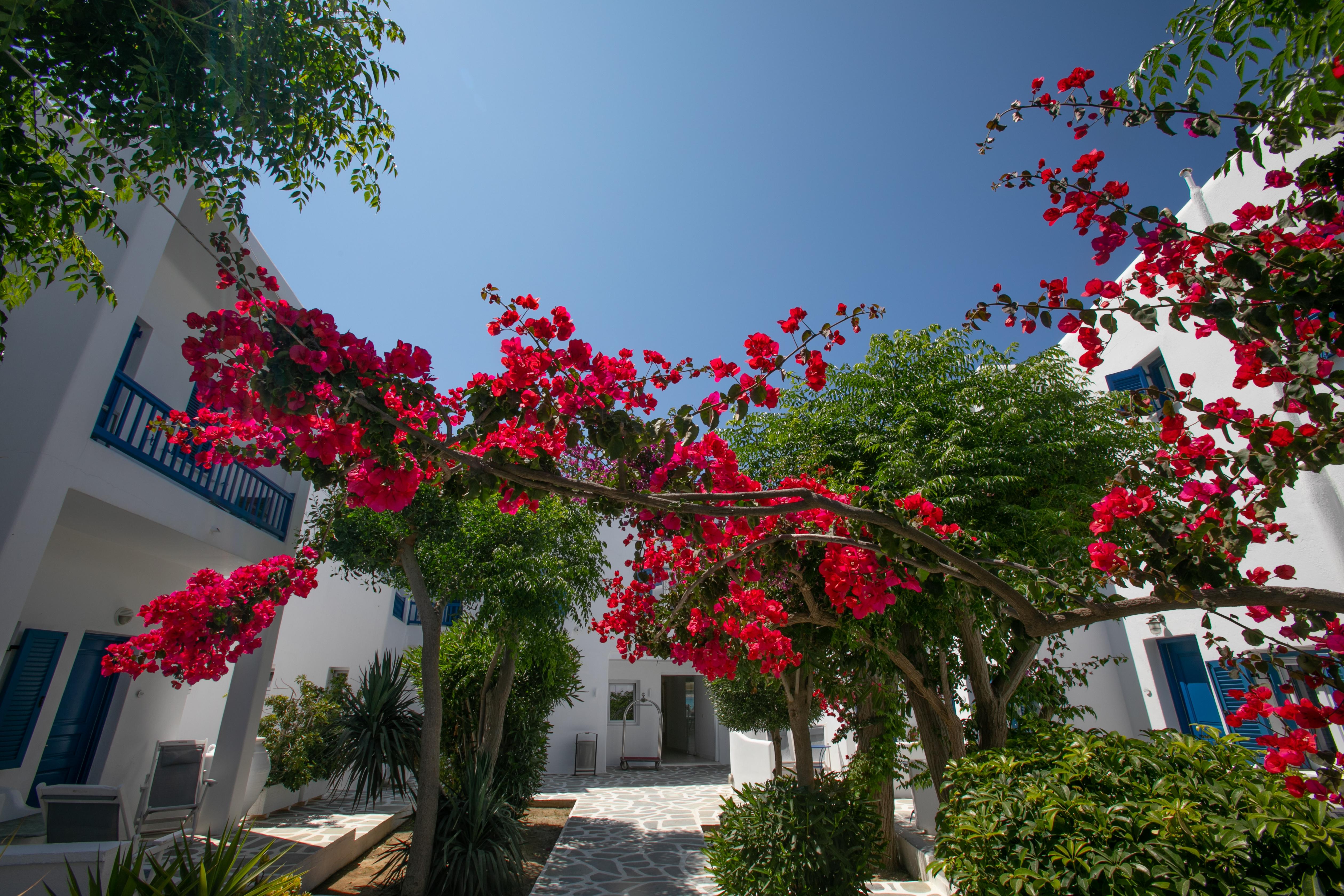 Acrogiali Beachfront Hotel Mykonos Platys Gialos  Ngoại thất bức ảnh